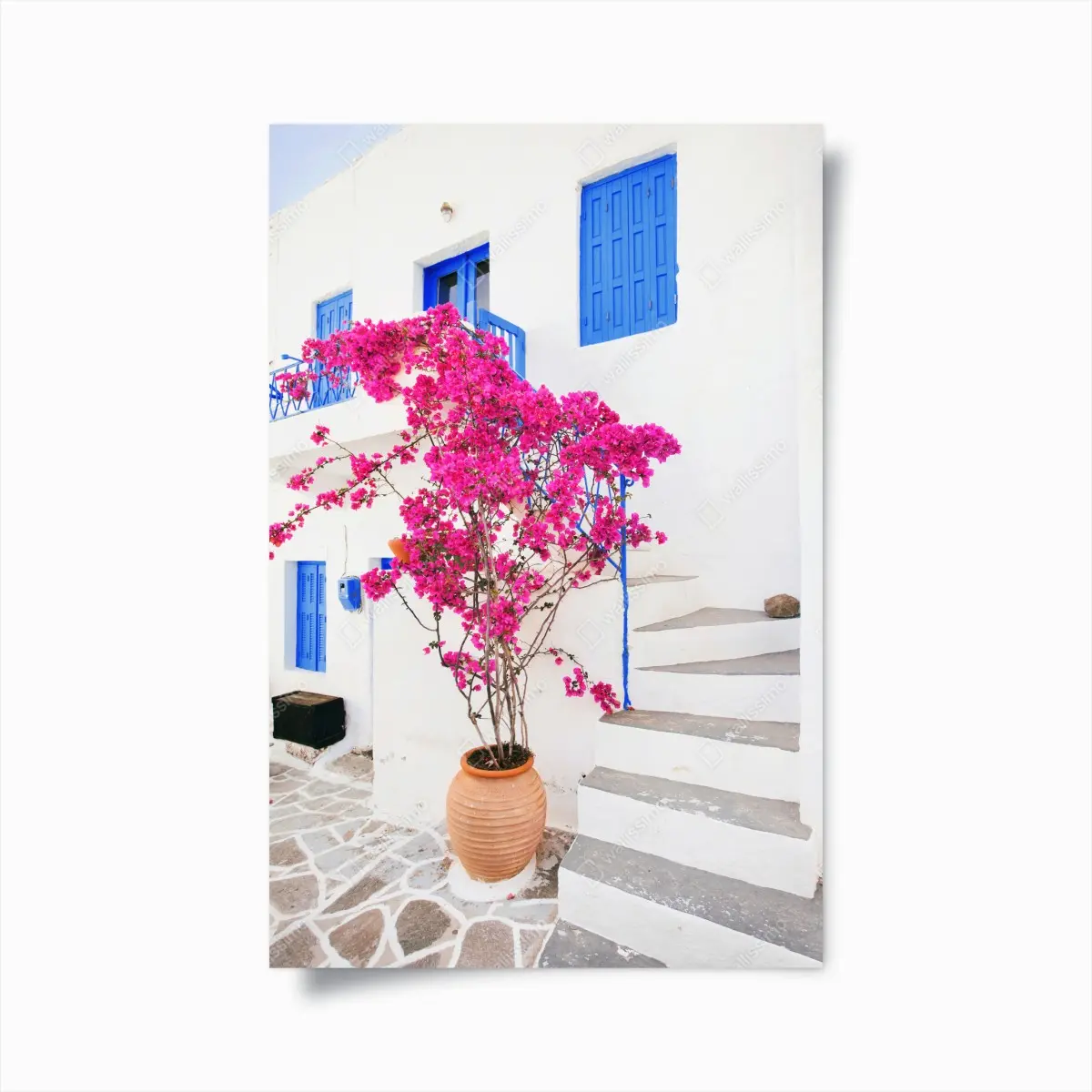 Poster rosa bougainvillea vor weißem haus auf griechischer insel – Pixers®