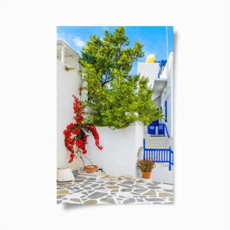 Poster sonniger mediterraner innenhof mit bougainvillea – Pixers®