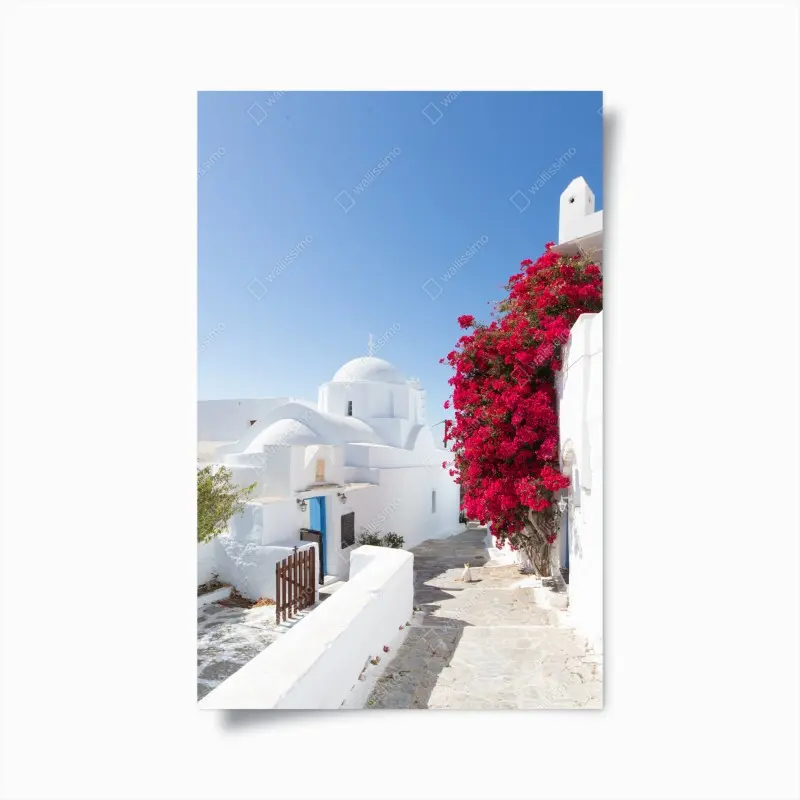 Poster sonnige gasse auf der insel mit leuchtender buganvillea
