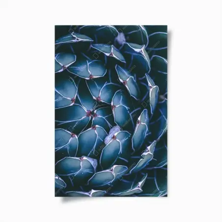 Poster geometrische makroaufnahme türkiser sukkulente – Pixers®
