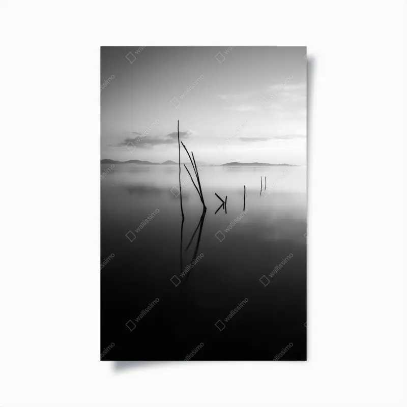 Poster ruhiger monochromer see mit reflexionen