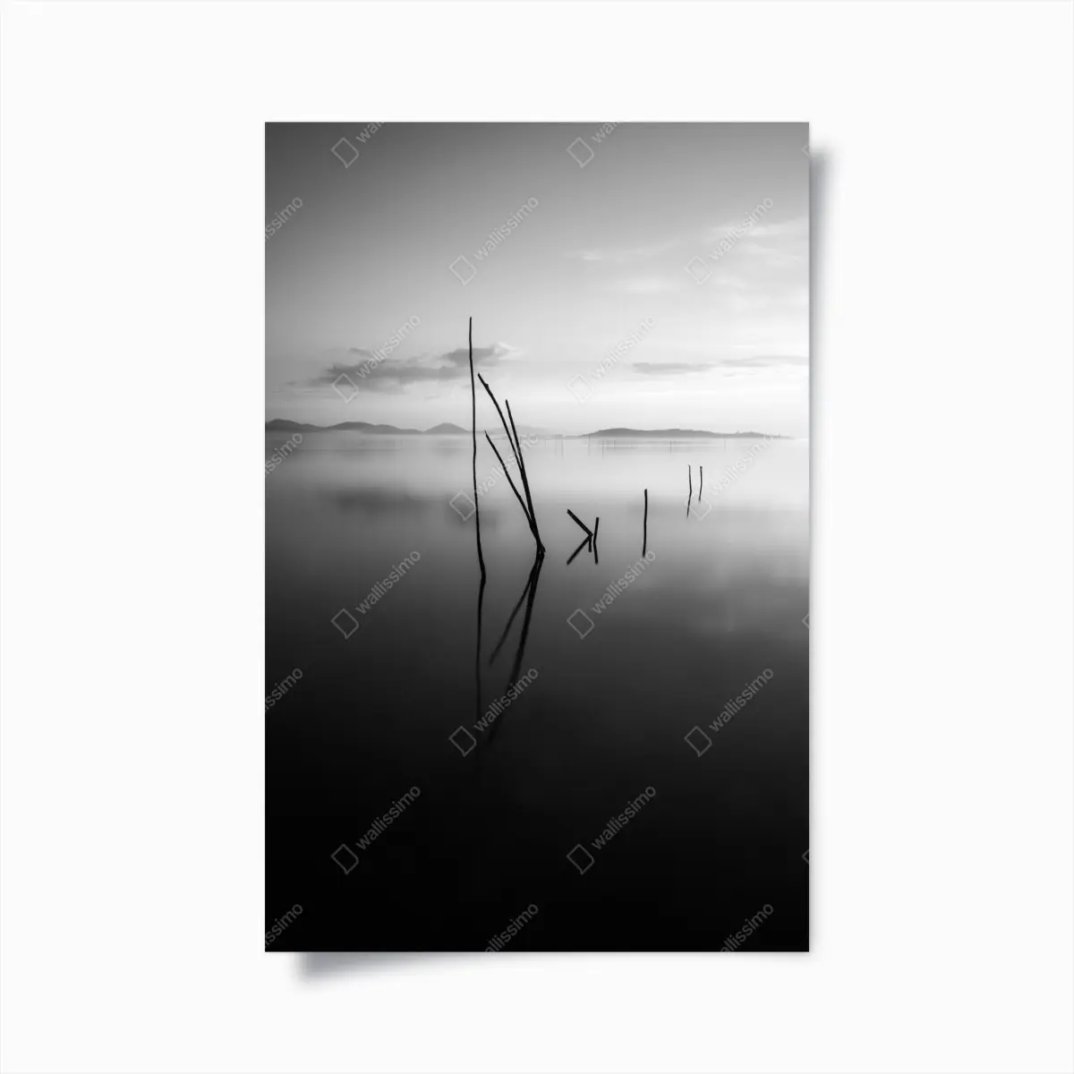 Poster ruhiger monochromer see mit reflexionen – Pixers®