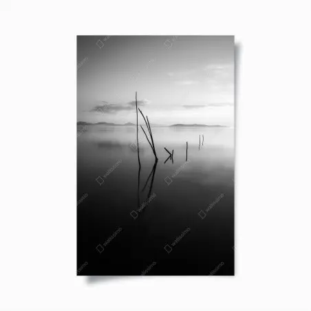Poster ruhiger monochromer see mit reflexionen – Pixers®