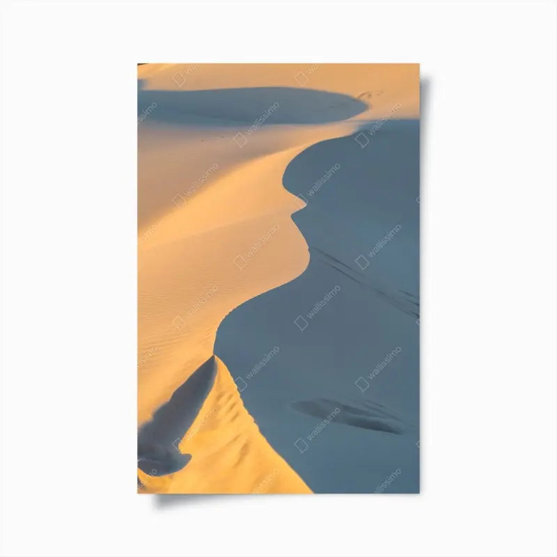 Poster goldene dünenkurven