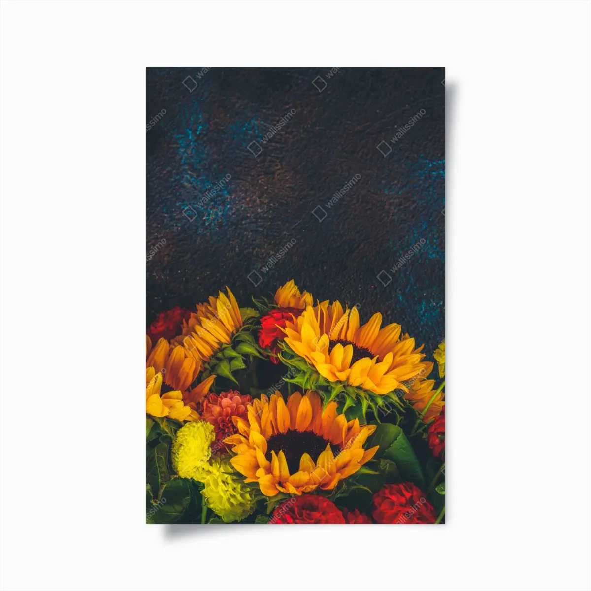 Poster lebendiger sonnenblumenstrauß vor dunklem hintergrund – Pixers®