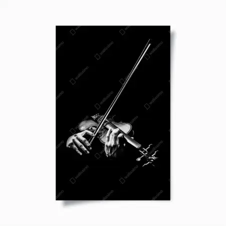 Poster monochrome hände eines geigers – Pixers®
