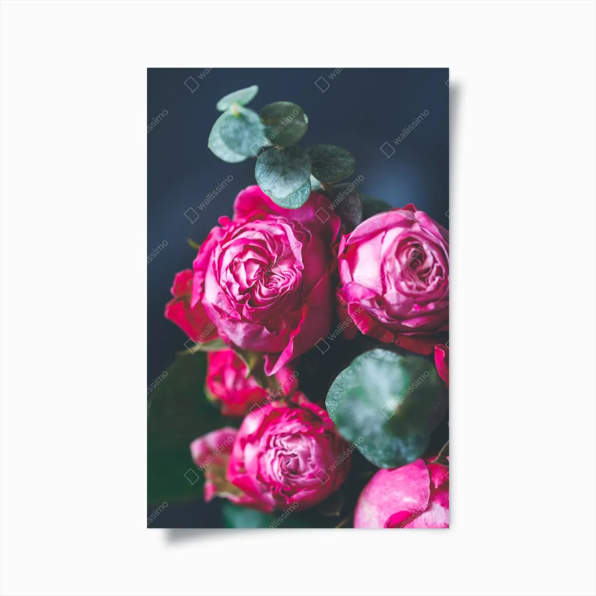 Poster rosenbouquet makroaufnahme – Pixers®