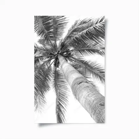 Poster monochrome palme aus der froschperspektive – Pixers®
