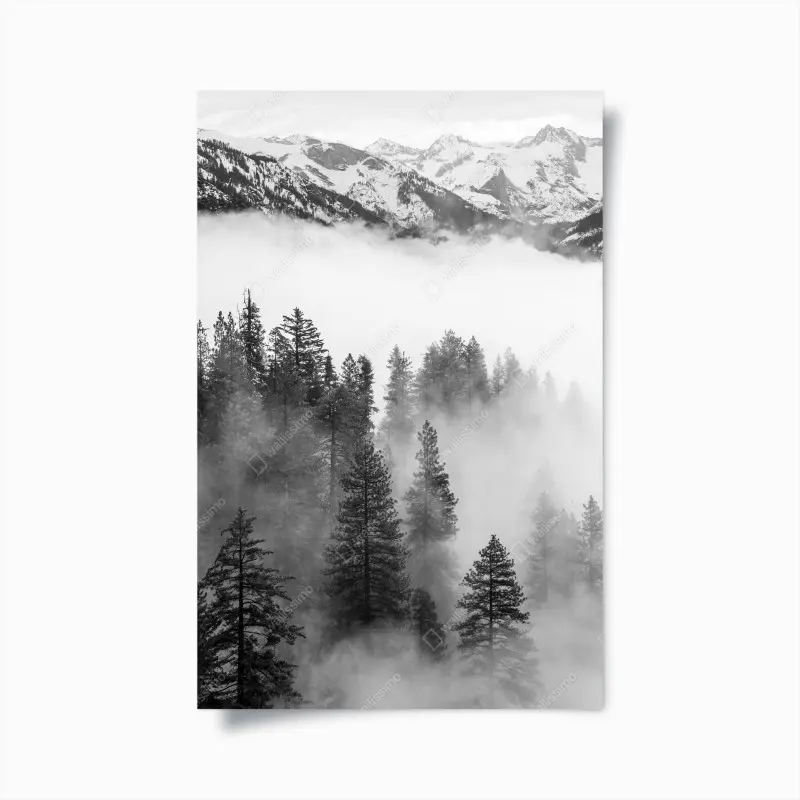 Poster nebliger Giant Forest, Sequoia National Park