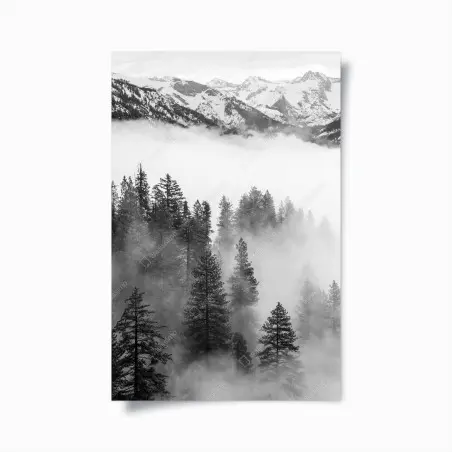 Poster nebliger Giant Forest, Sequoia National Park – Pixers®