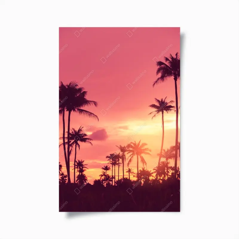 Poster rosa tropischer sonnenuntergang mit palmen