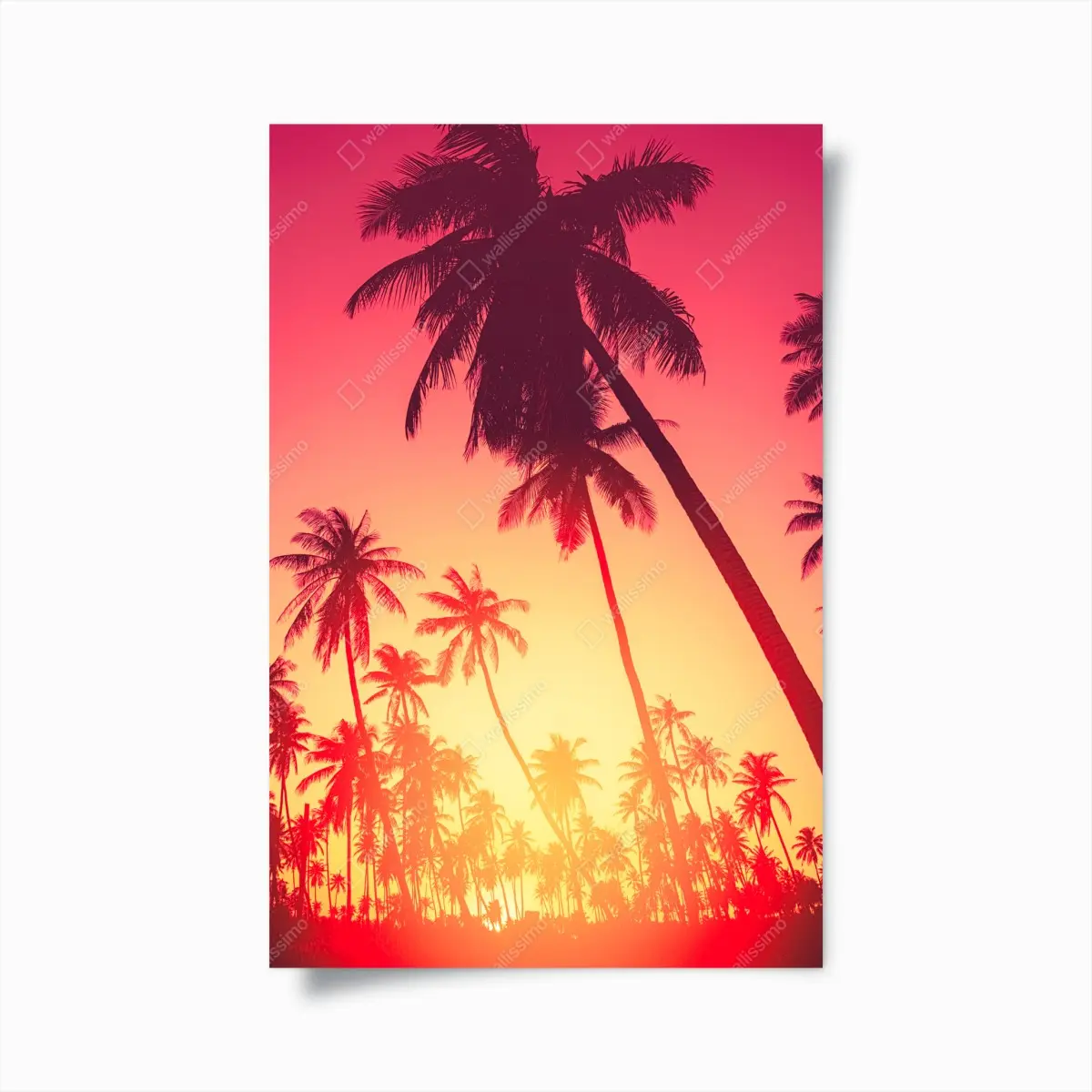 Poster tropischer sonnenuntergang mit palmen – Pixers®