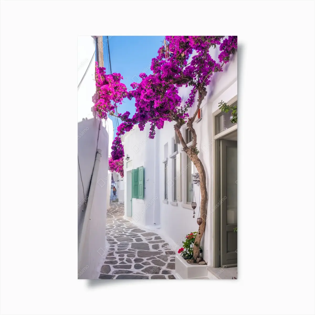 Poster sonnige mediterrane gasse mit bougainvillea – Pixers®