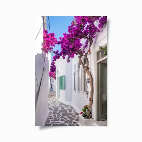 Poster sonnige mediterrane gasse mit bougainvillea – Pixers®