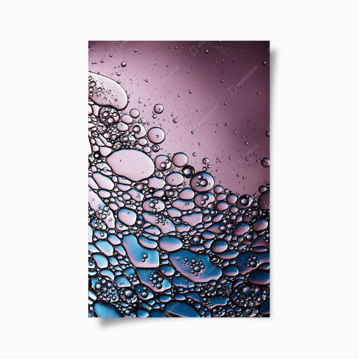 Poster lila abstraktes blasenmuster – Pixers®