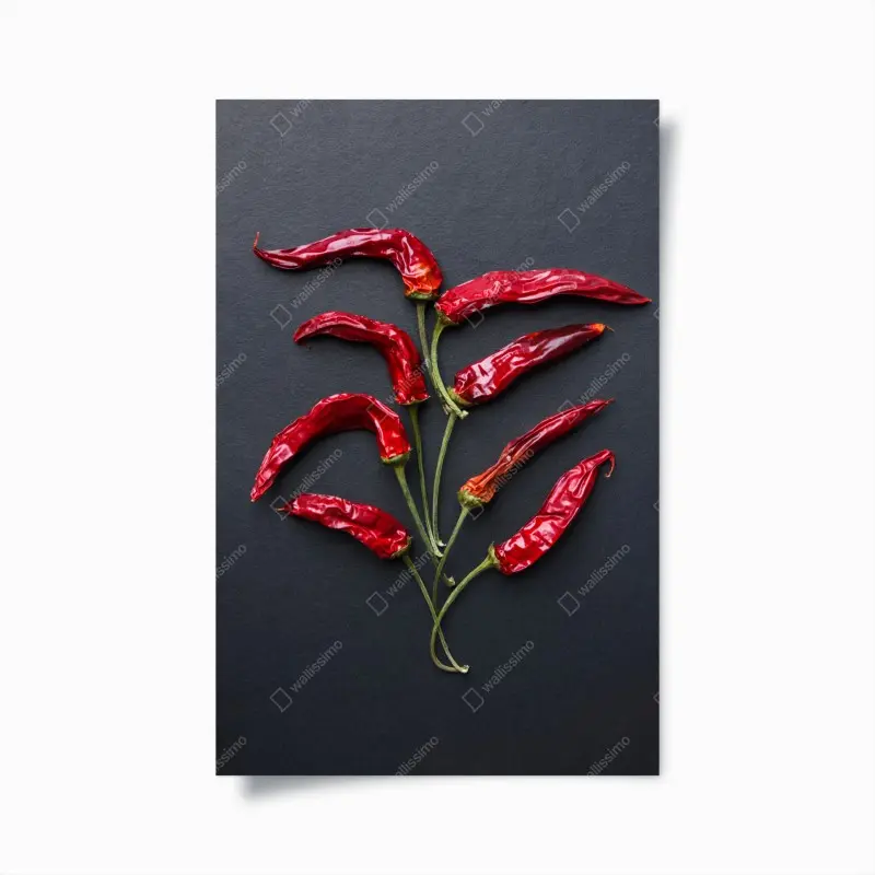 Poster kulinarische grafik mit roten chilischoten