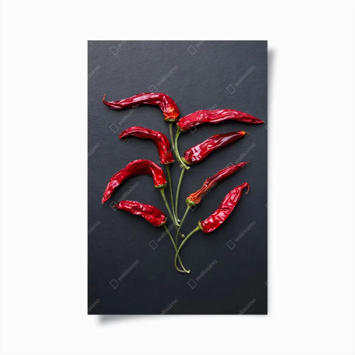 Poster kulinarische grafik mit roten chilischoten – Pixers®
