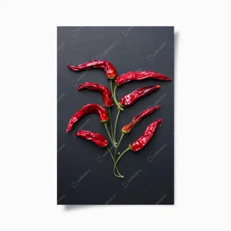 Poster kulinarische grafik mit roten chilischoten – Pixers®