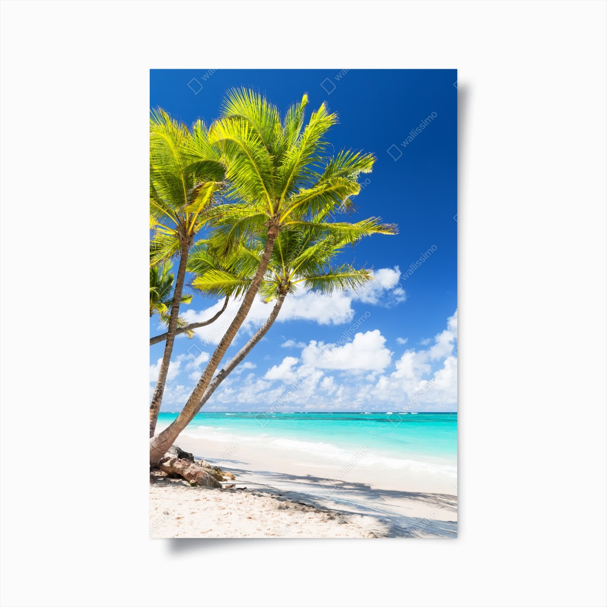 Poster tropischer palmstrand in Punta Cana – Pixers®