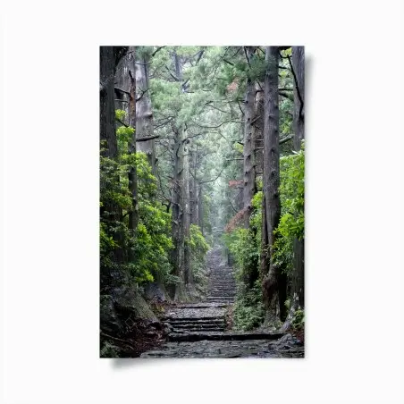 Poster mystischer waldweg zwischen alten bäumen – Pixers®