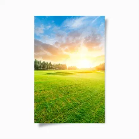 Poster sonnenbeschienene wiese und wald bei sonnenaufgang – Pixers®