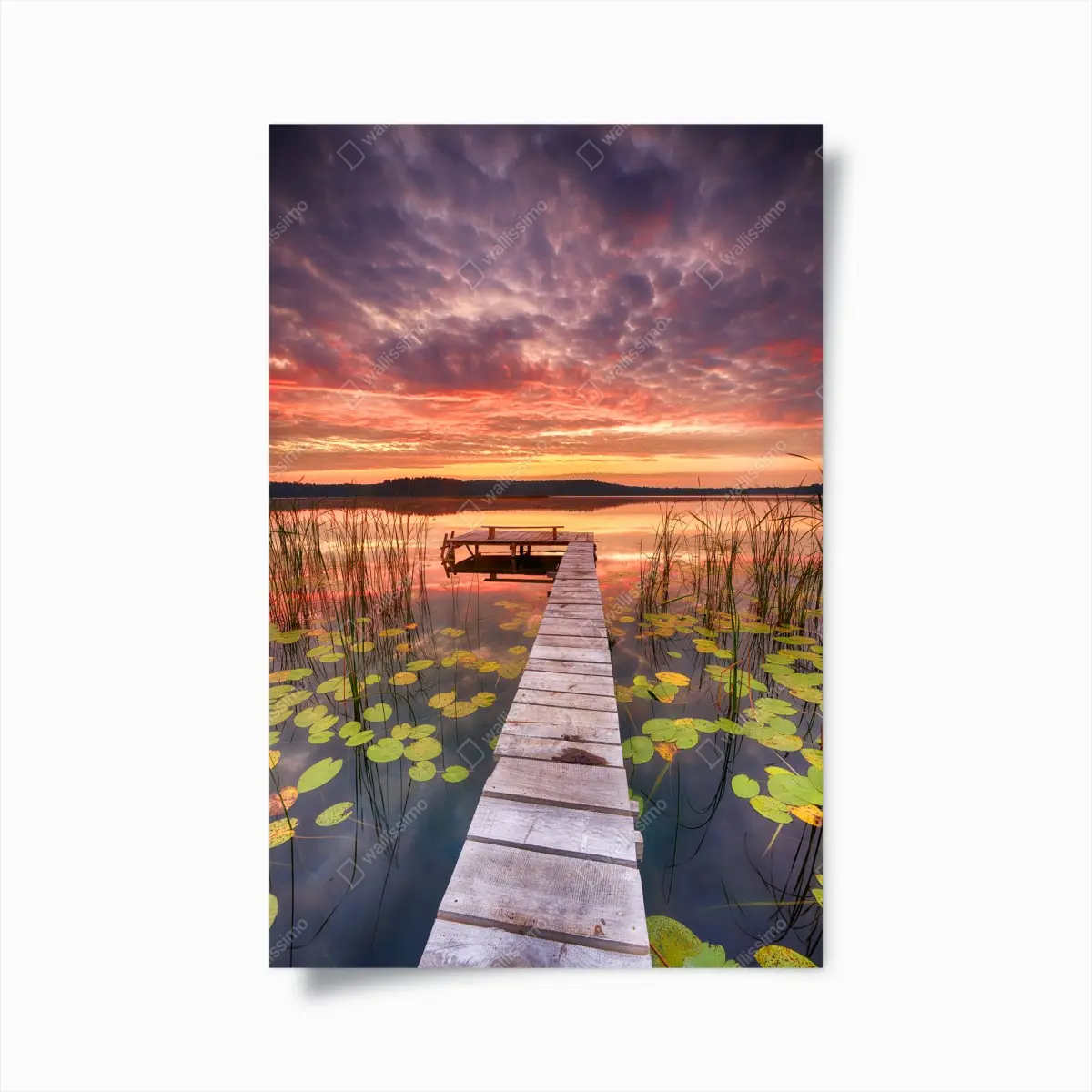Poster sonnenaufgang über ruhigem see mit steg – Pixers®