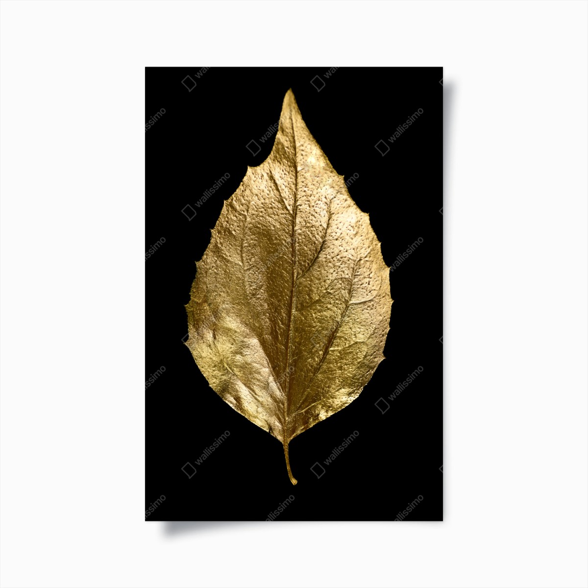Poster goldenes blatt auf schwarzem hintergrund – Pixers®