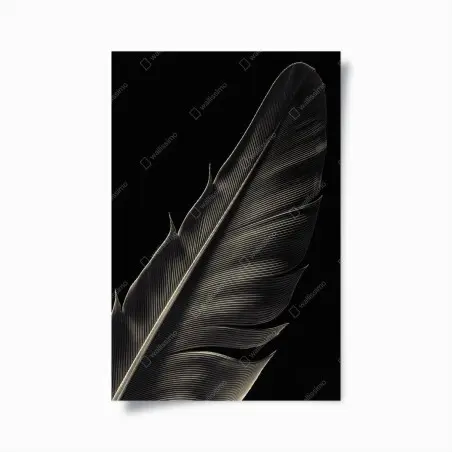 Poster zarte feder in makroaufnahme – Pixers®