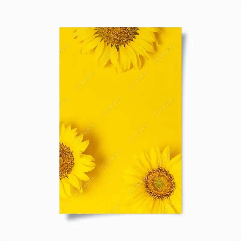 Poster drei sonnenblumen auf gelbem hintergrund