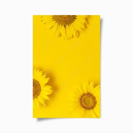 Poster drei sonnenblumen auf gelbem hintergrund – Pixers®