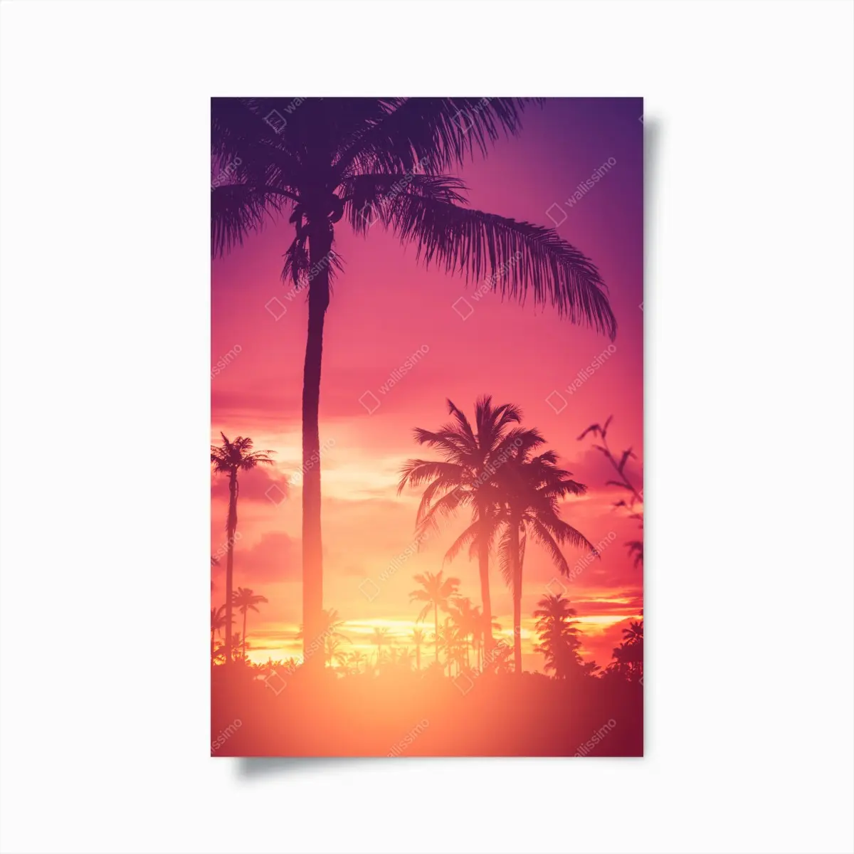 Poster tropischer sonnenuntergang mit palmen – Pixers®