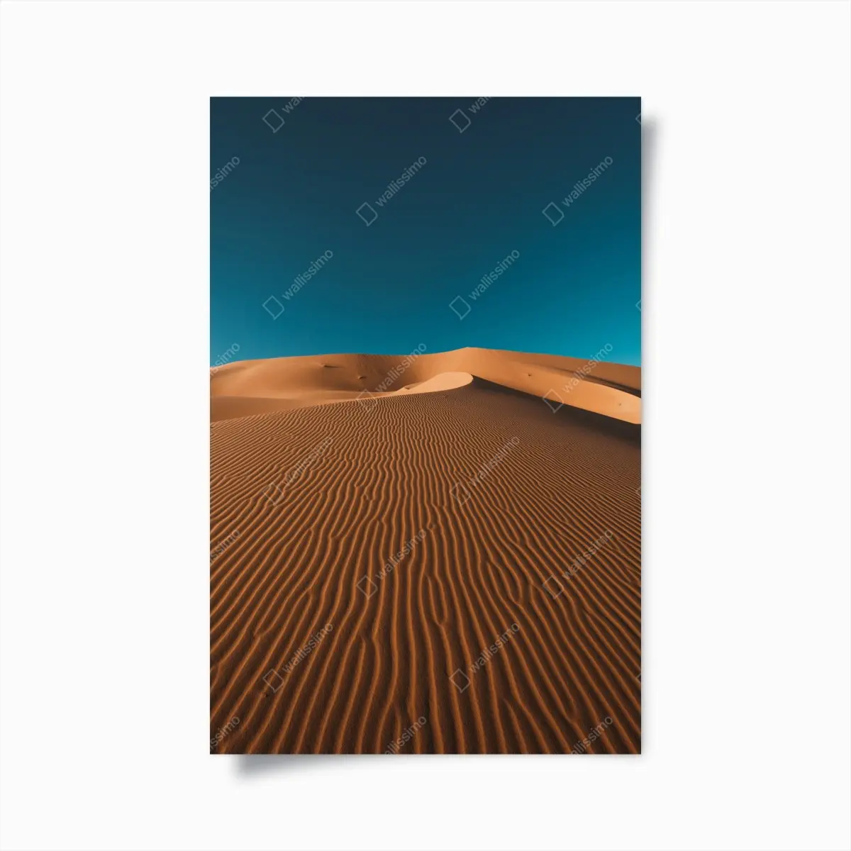 Poster goldene sanddünen unter tiefblauem himmel – Pixers®