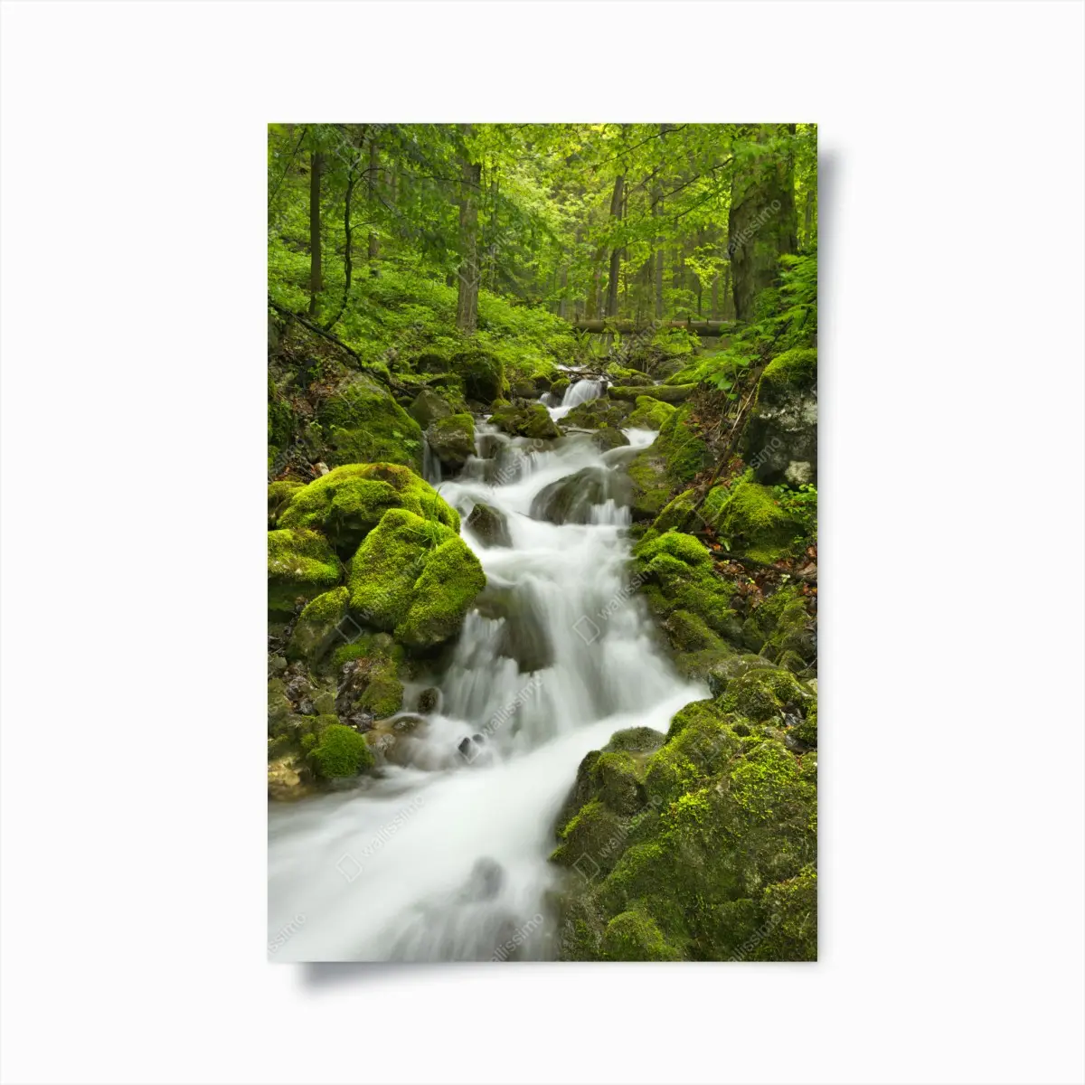 Poster moosiger wasserfall – Pixers®