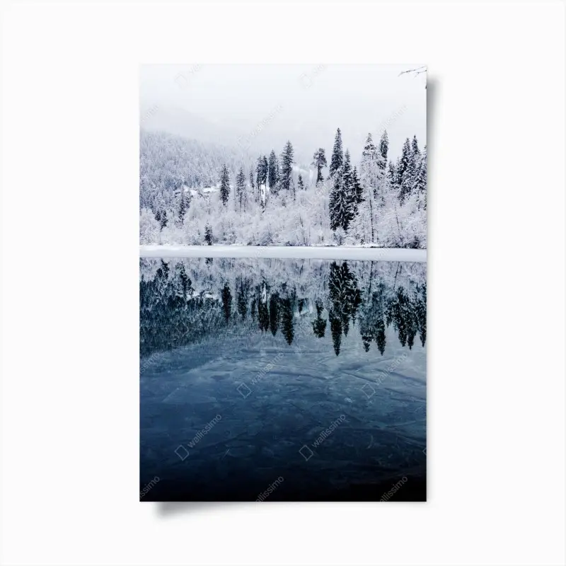 Poster winterlicher see mit spiegelung im verschneiten wald