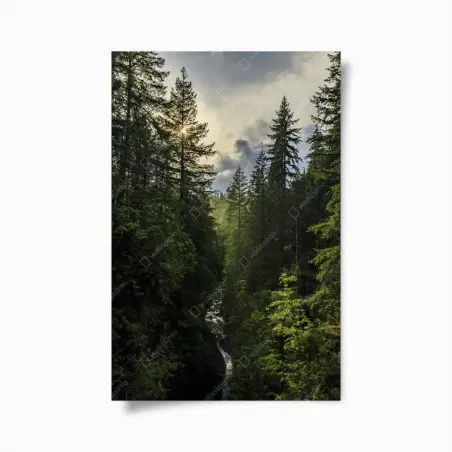 Poster nebliger immergrüner wald mit wasserfall – Pixers®