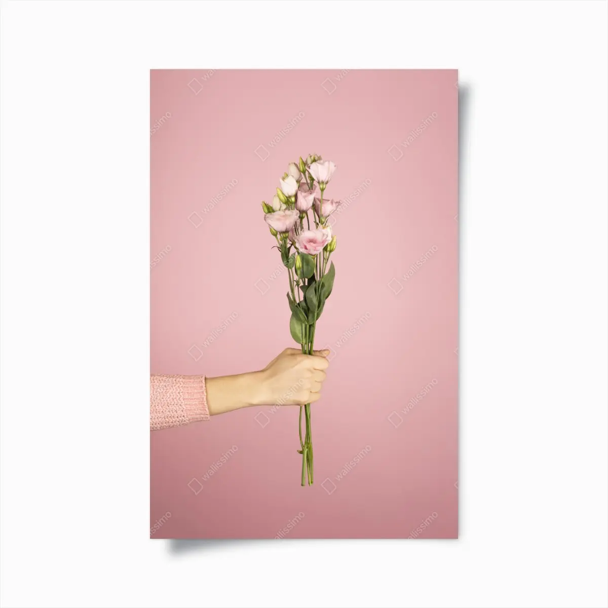 Poster zarter rosa eustoma-strauß – Pixers®