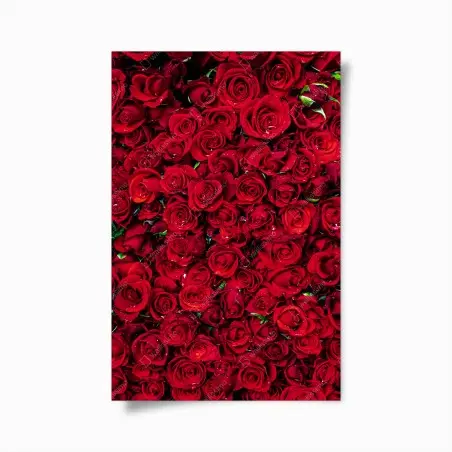 Poster dichte wand aus roten rosen – Pixers®