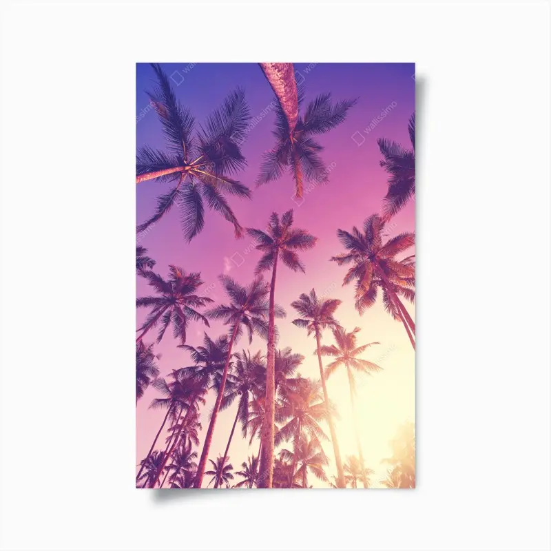 Poster tropische palmen beim sonnenuntergang