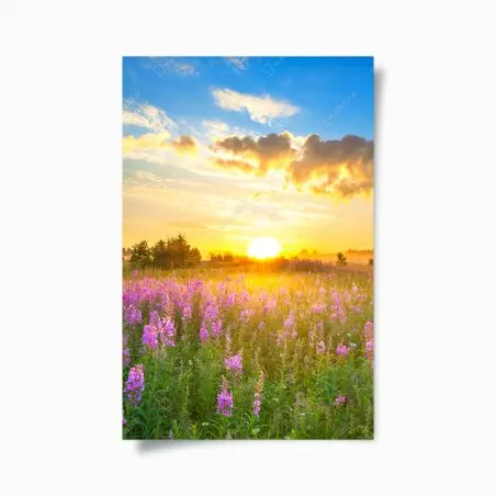 Poster sonnenaufgang über violetter wildblumenwiese – Pixers®