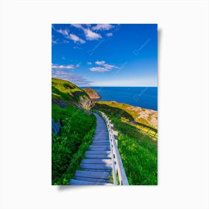 Poster küstenpfad mit blick auf das meer