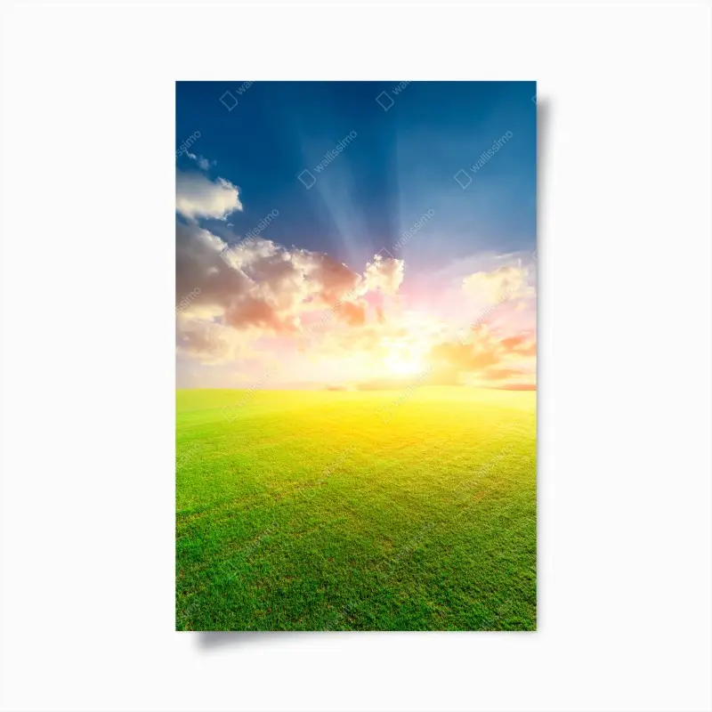 Poster sonnenbeschienene wiese bei sonnenuntergang