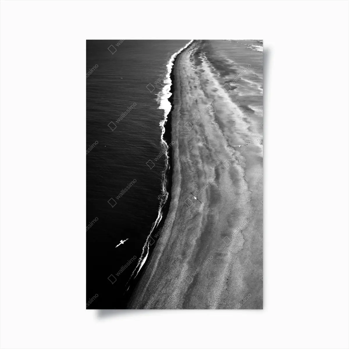 Poster monochrome küstenaufnahme aus der luft – Pixers®