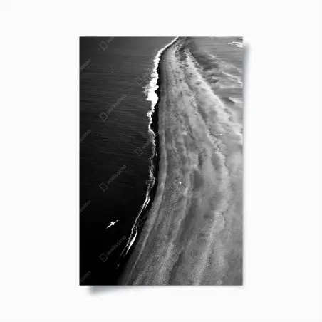 Poster monochrome küstenaufnahme aus der luft – Pixers®
