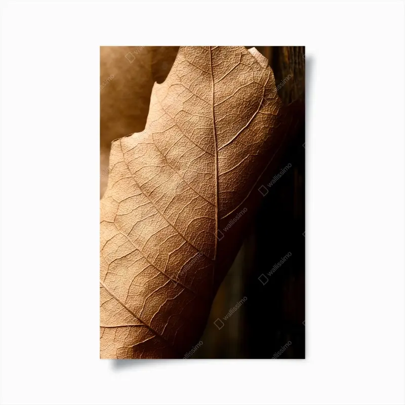 Poster strukturiertes trockenes blatt nahaufnahme