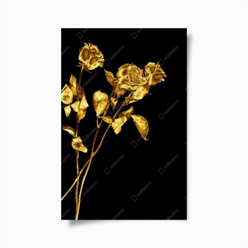 Poster goldene rosen vor schwarzem hintergrund