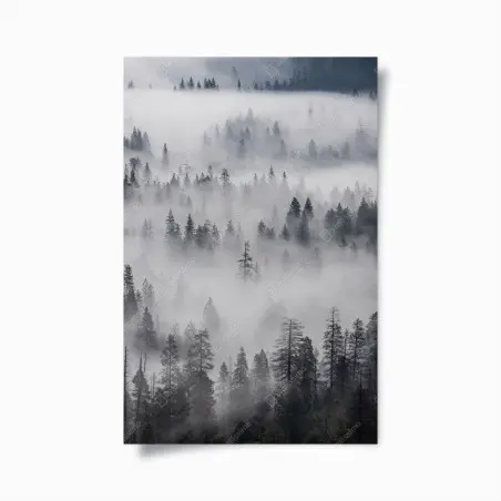 Poster nebeliger kiefernwald – Pixers®