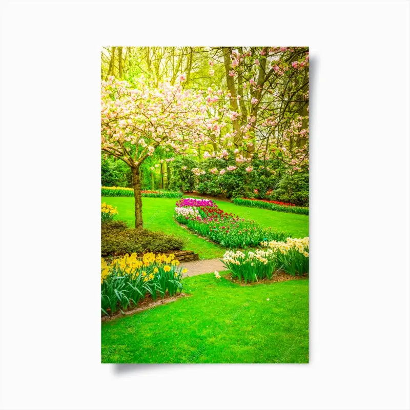 Poster frühlingsgarten in blüte: tulpen und kirschblüten