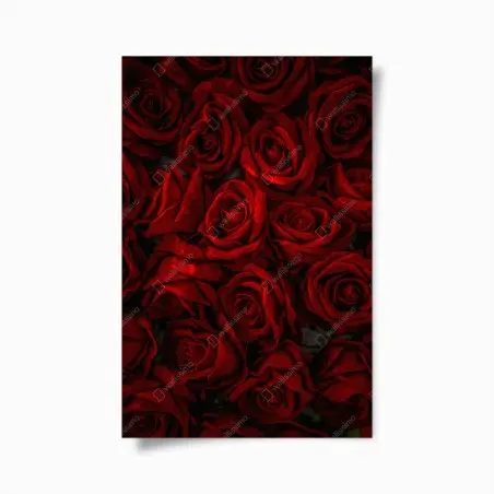 Poster intensive rote rosen nahaufnahme – Pixers®