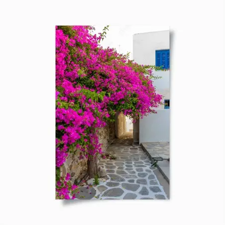 Poster blühende bougainvillea in Naousa gasse – Pixers®