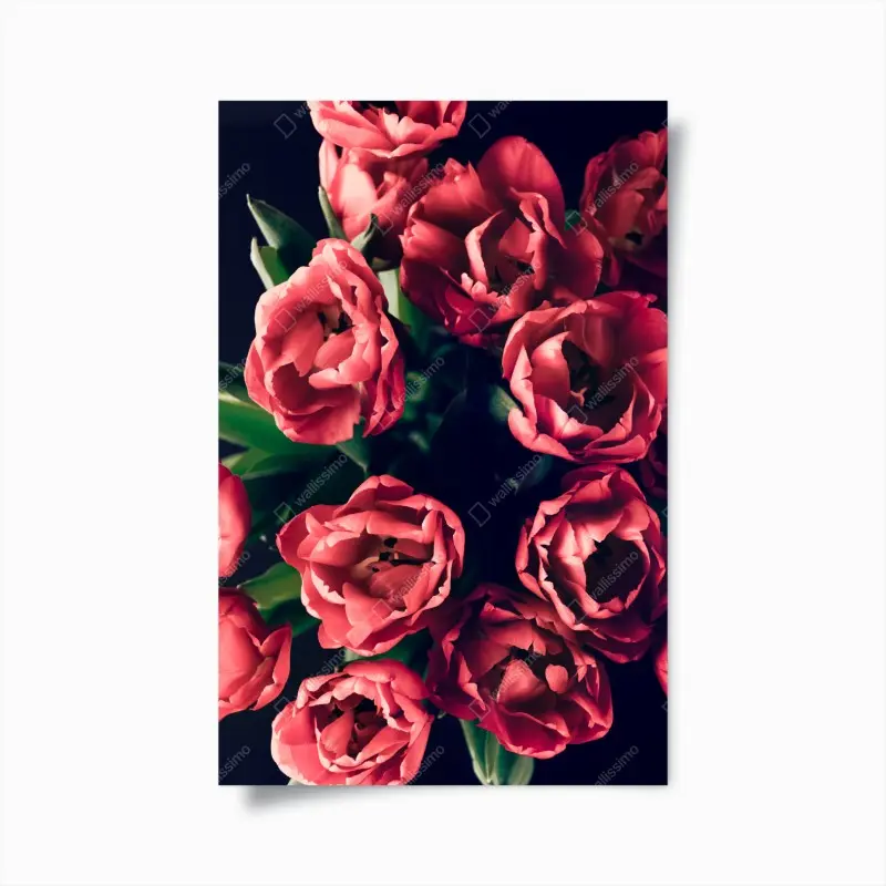 Poster stimmungsvolles rosa tulpenbukett